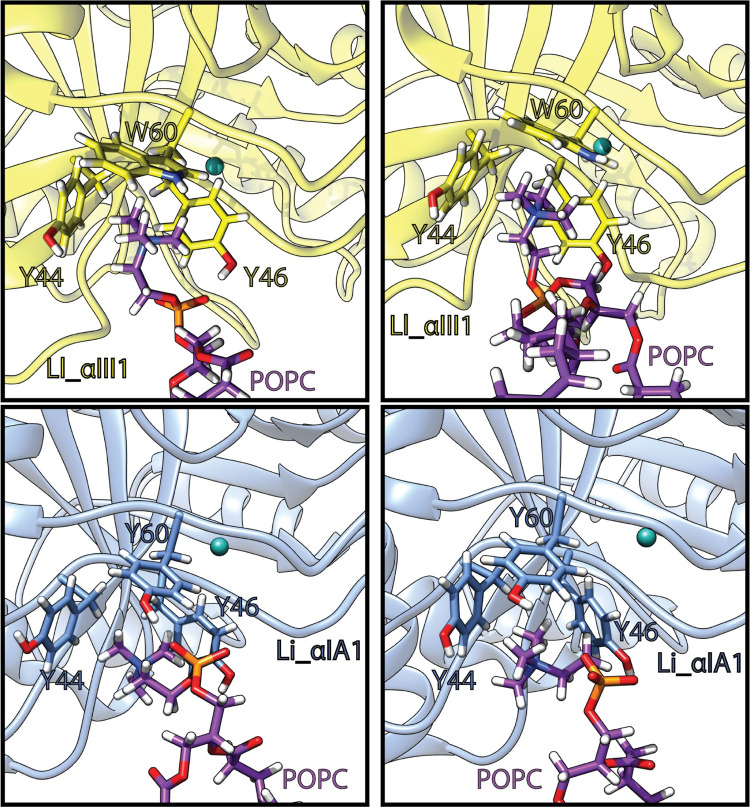 Fig 4