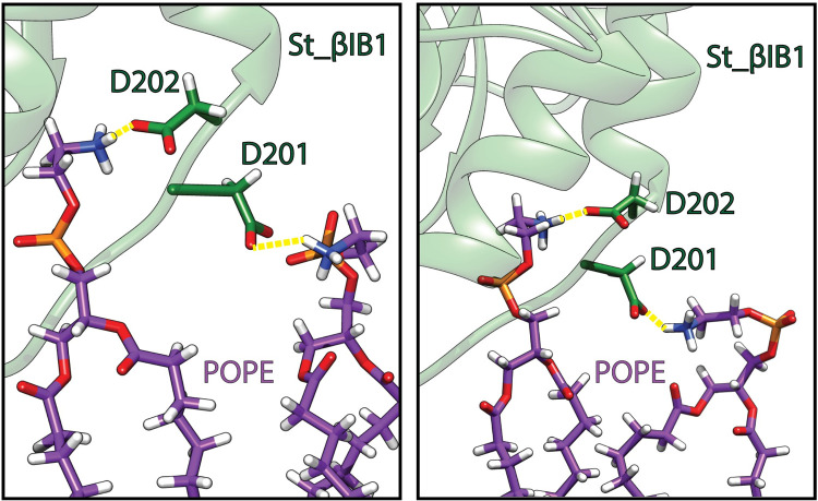 Fig 6