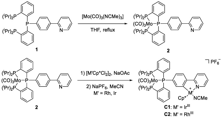 Scheme 1