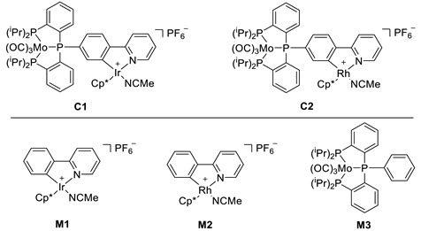 graphic file with name molecules-28-02574-i001.jpg