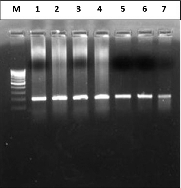 Figure 2A