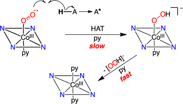 Scheme 3