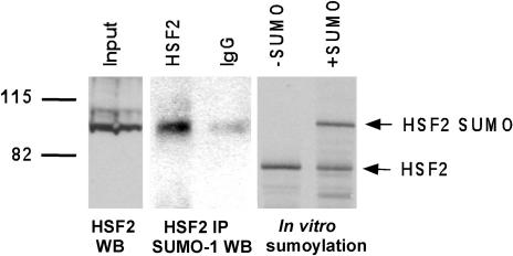 Fig 3.