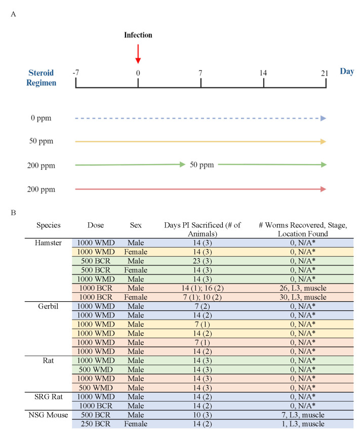 
Figure 1. Corticosteroid administration schedules and infection outcomes for rodents infected with
Ancylostoma caninum
