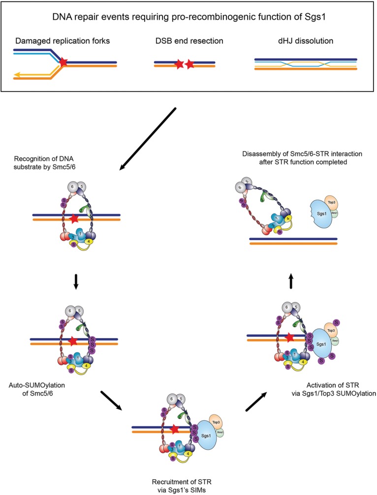 Figure 10.