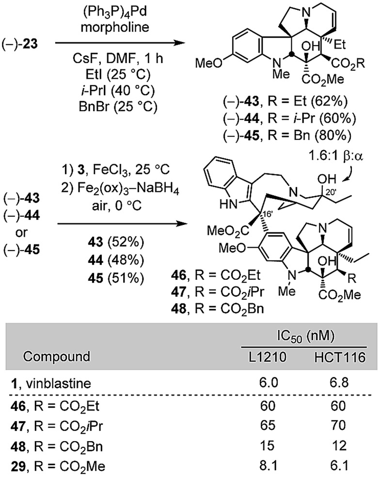 Scheme 5