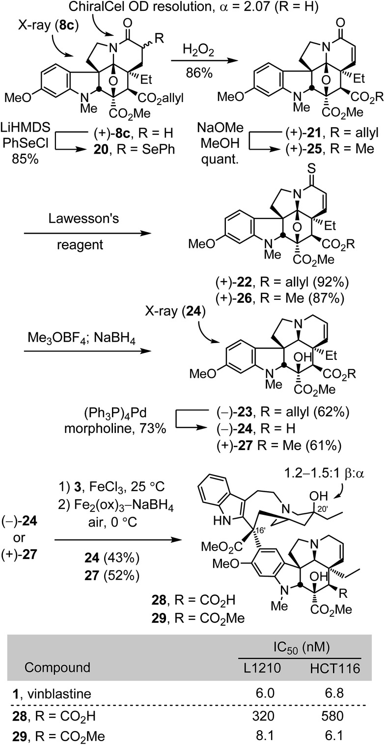 Scheme 2