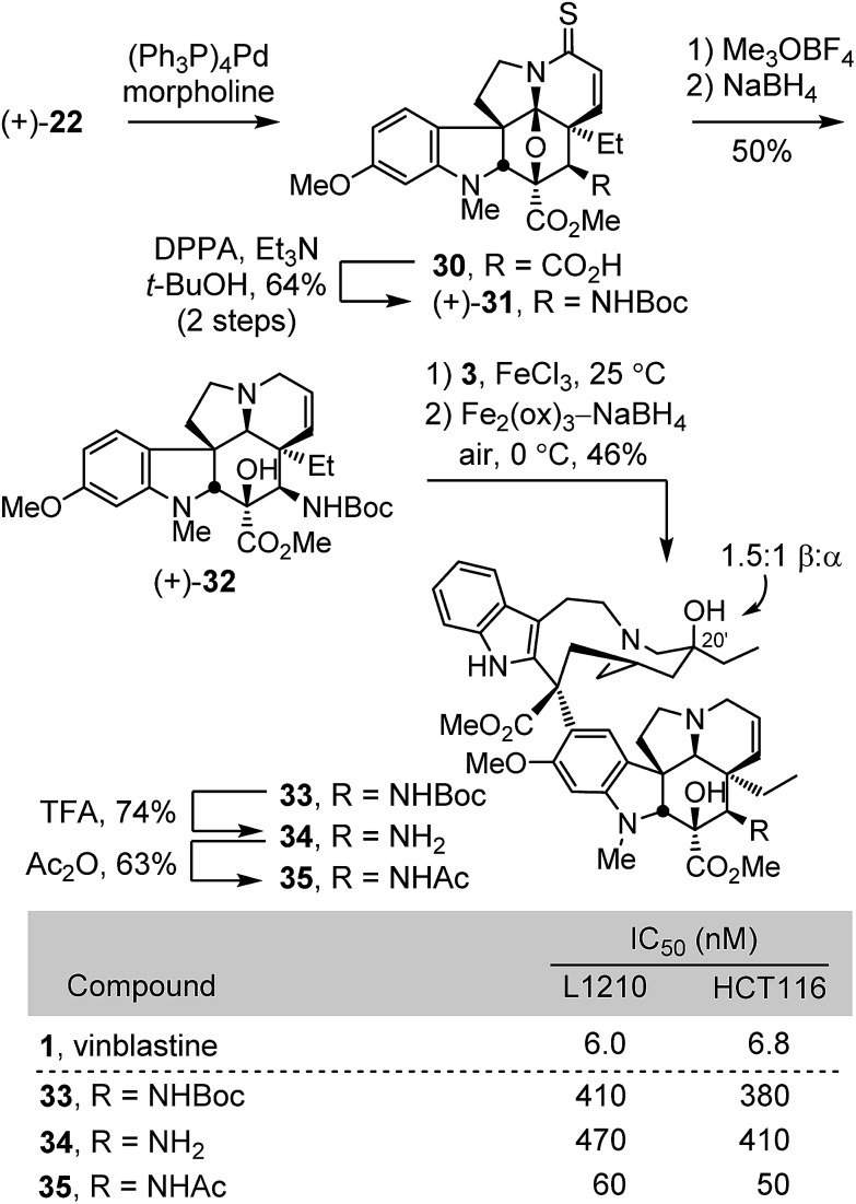 Scheme 3