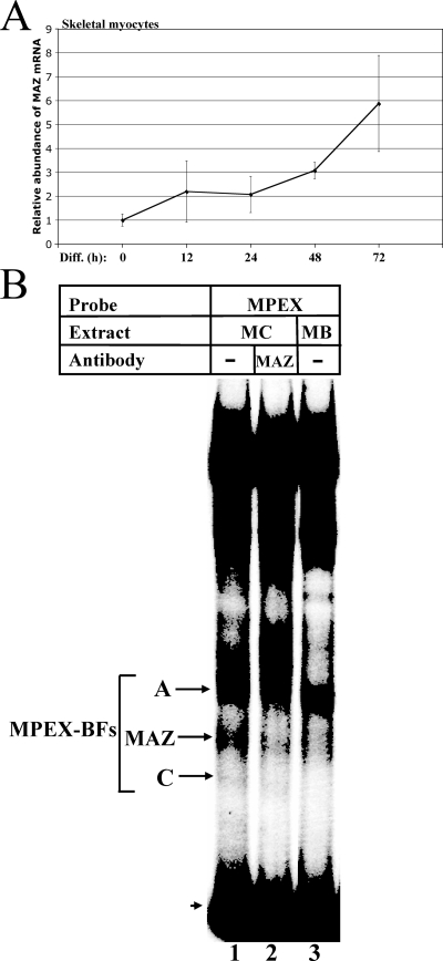 FIG. 6.