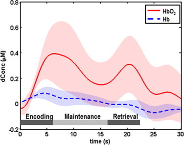 Fig. 10