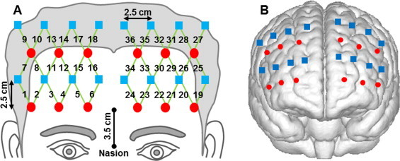 Fig. 1