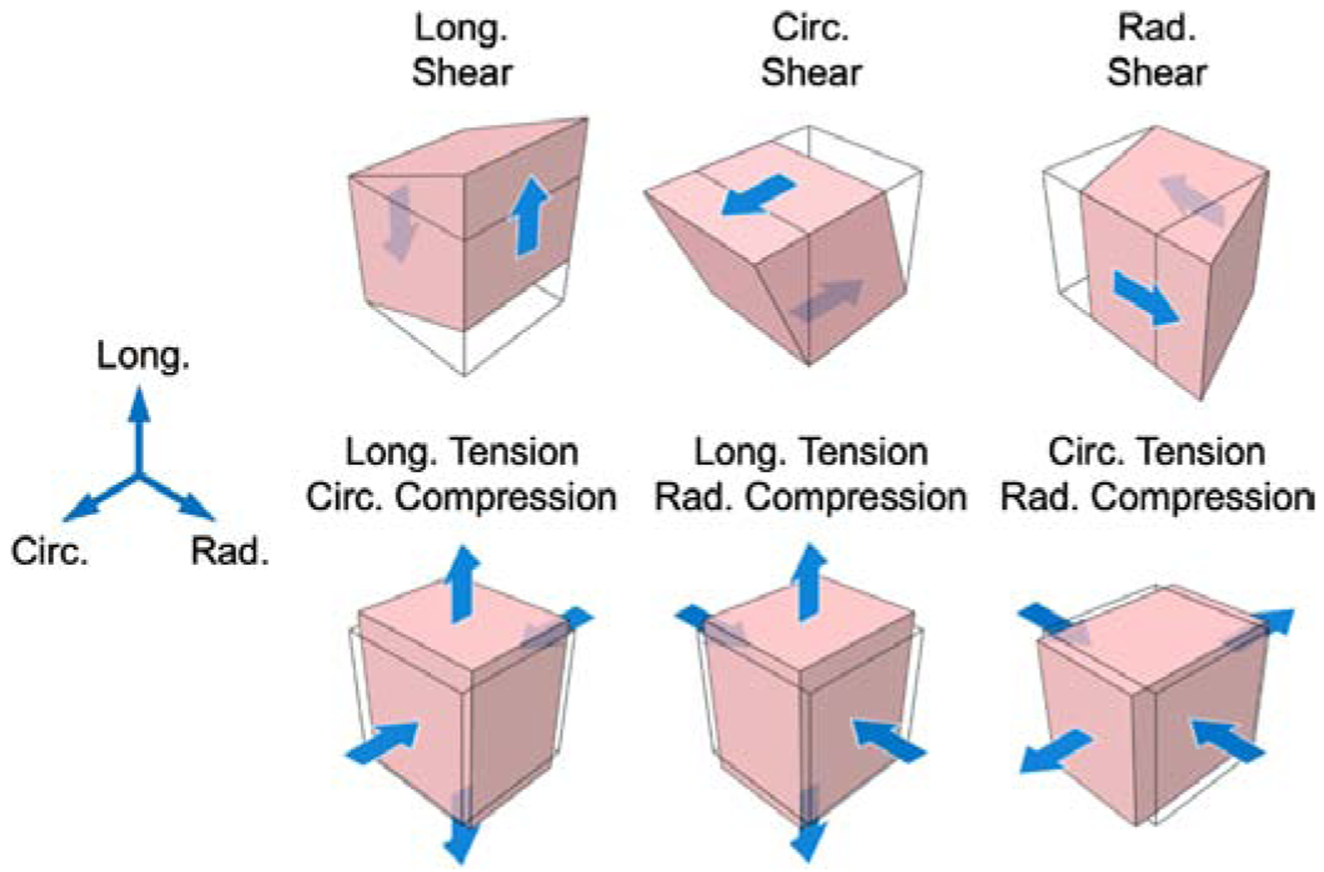 Fig. 1: