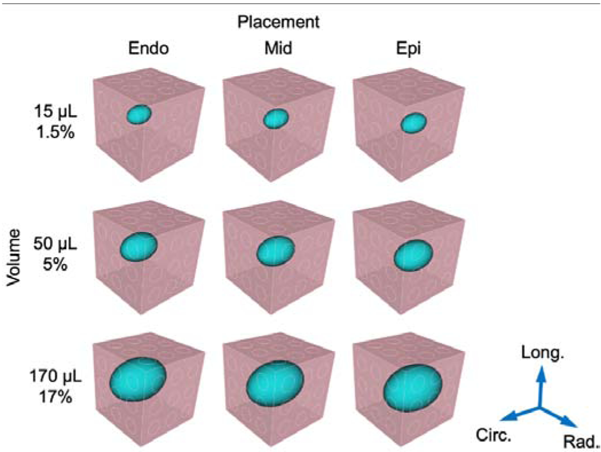 Fig. 3: