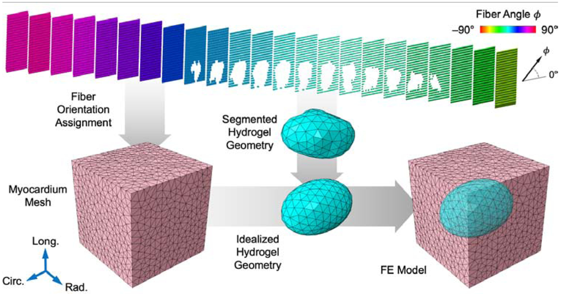 Fig. 2: