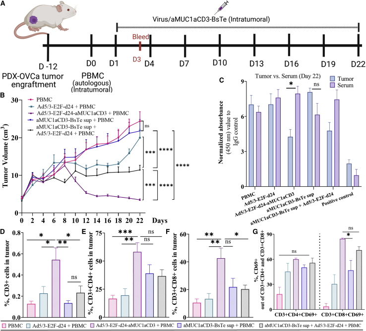 Figure 6