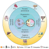 Graphical Abstract