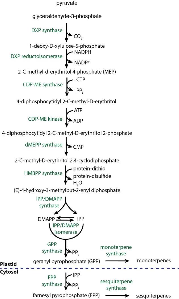 Figure 7.