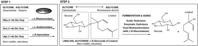 Figure 10.