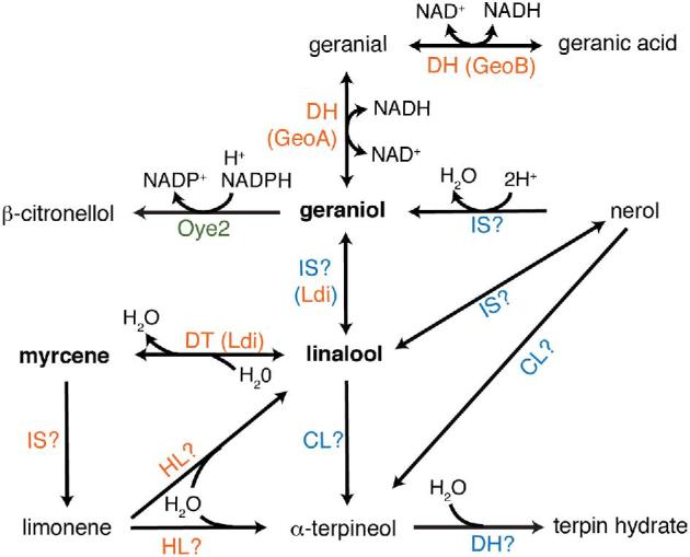 Figure 9.