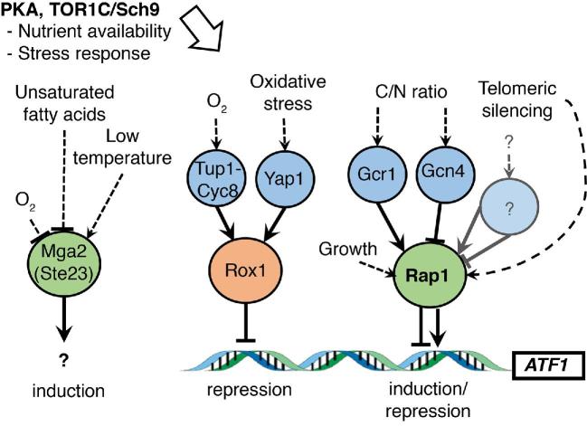 Figure 6.