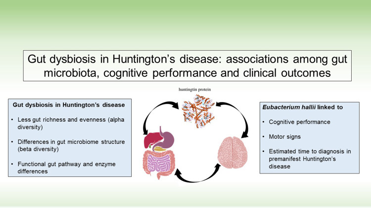 Graphical Abstract