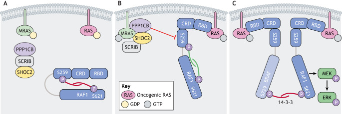 Fig. 2.