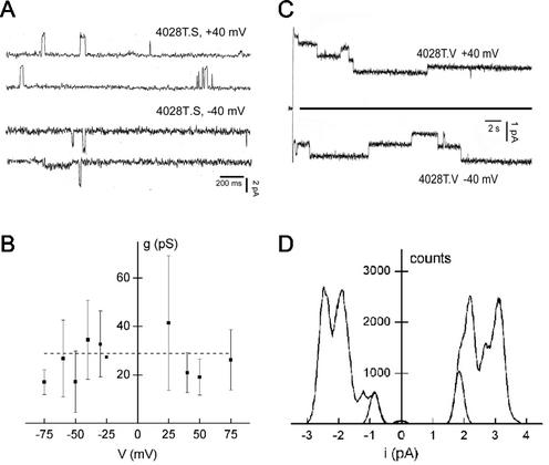 FIG. 6.