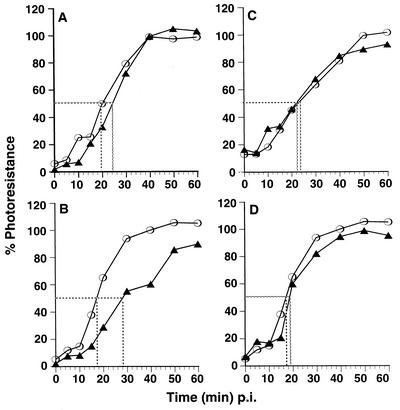 FIG. 8.