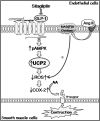 <b>FIG. 7.</b>