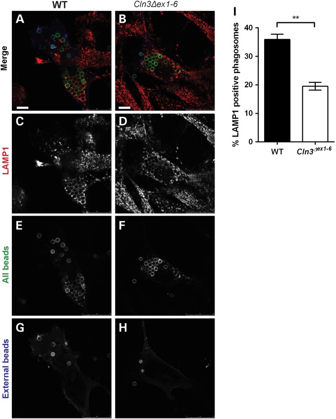 Figure 6.