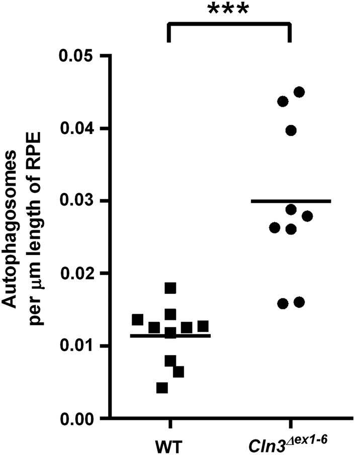 Figure 2.