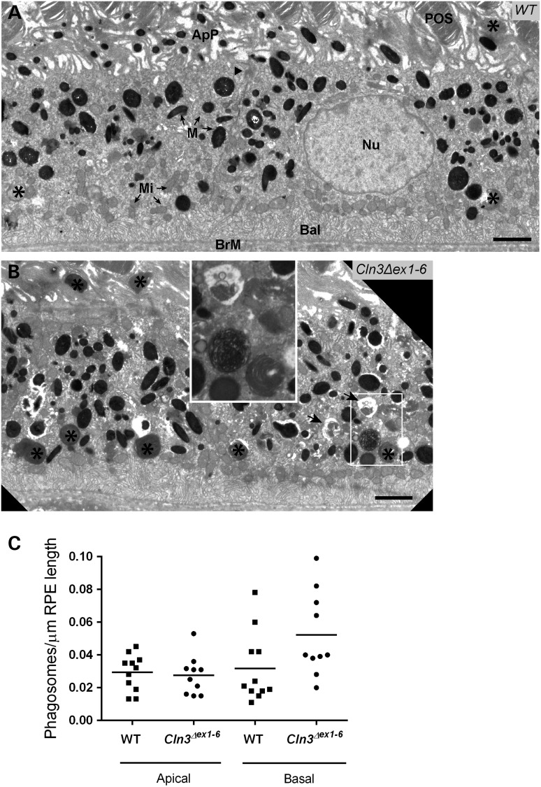 Figure 4.