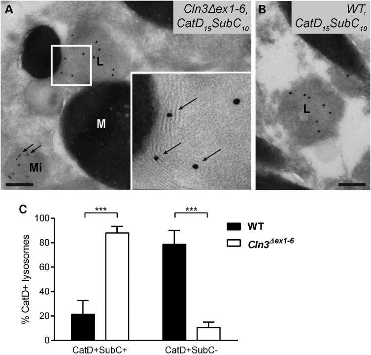 Figure 3.