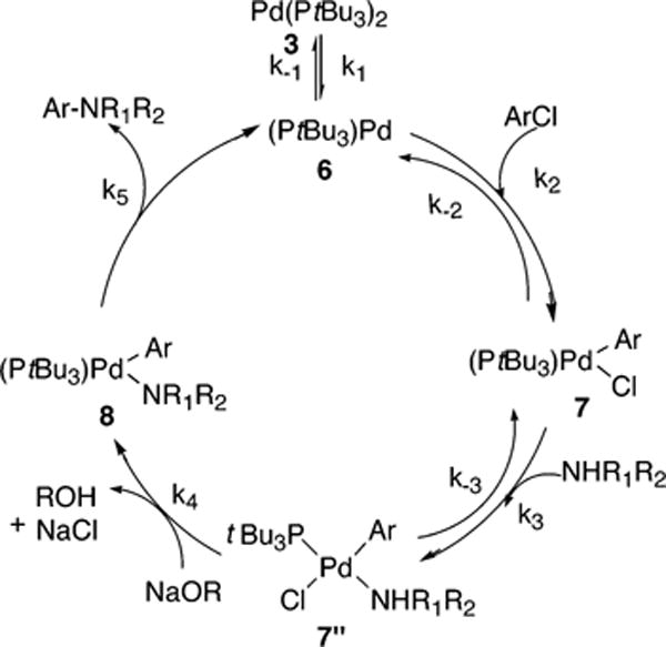 Scheme 7