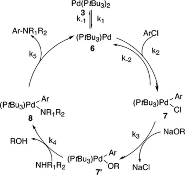 Scheme 5