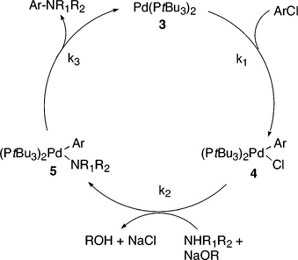 Scheme 2