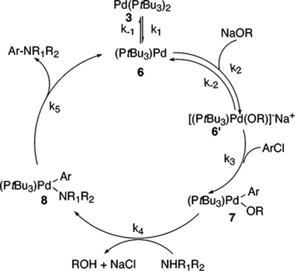 Scheme 8