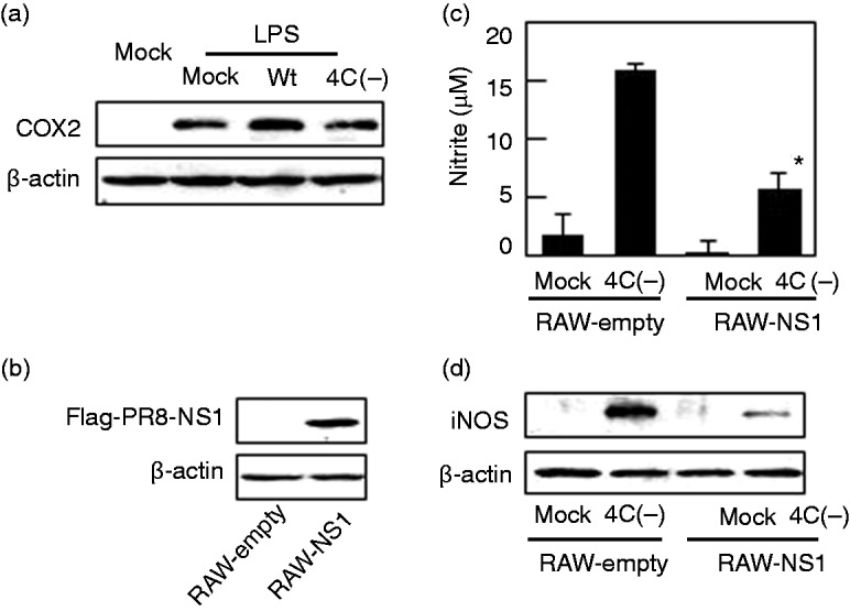 Figure 5.