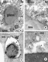 FIG. 6