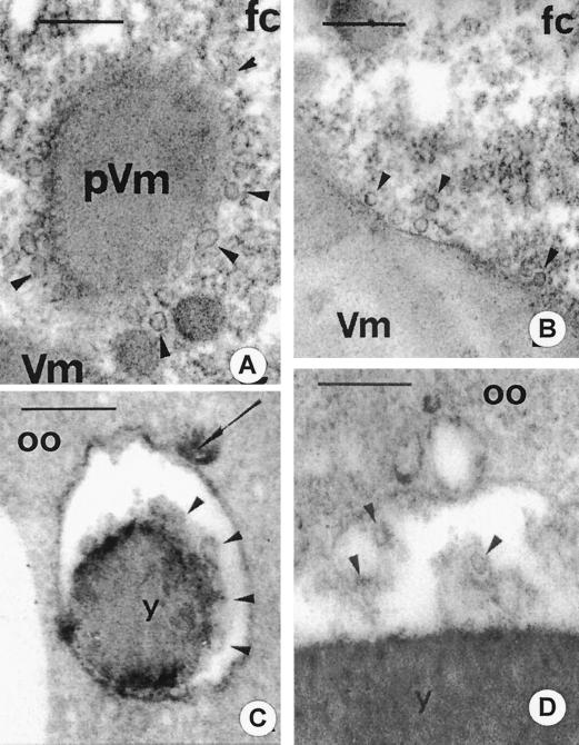 FIG. 6