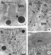 FIG. 8