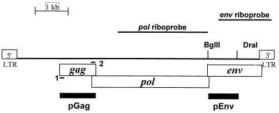 FIG. 1