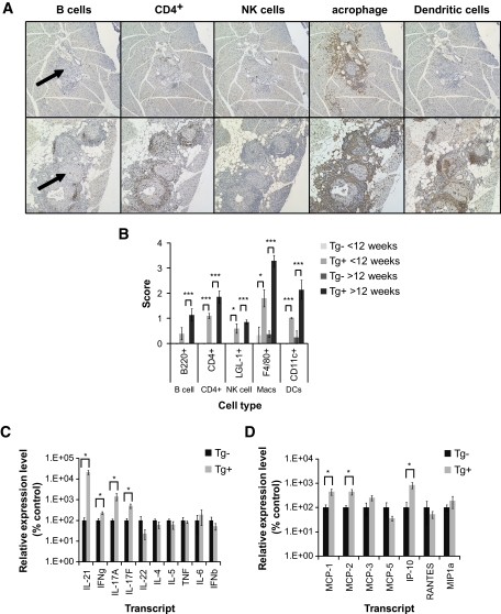 FIG. 8.