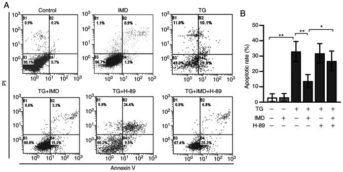 Figure 6.