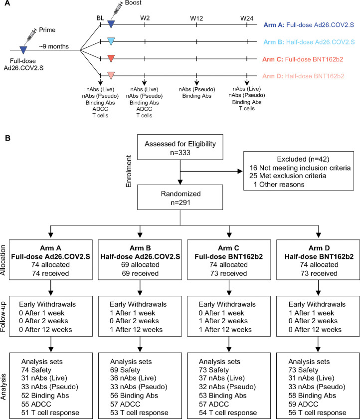 Figure 1: