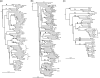 FIG. 1.