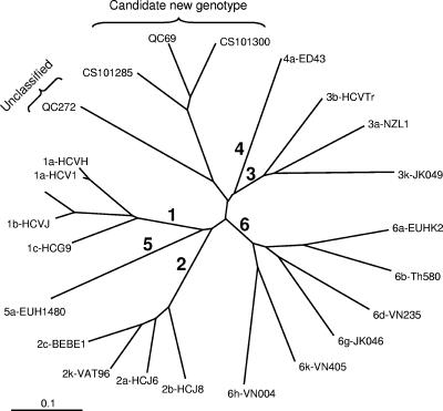 FIG. 2.