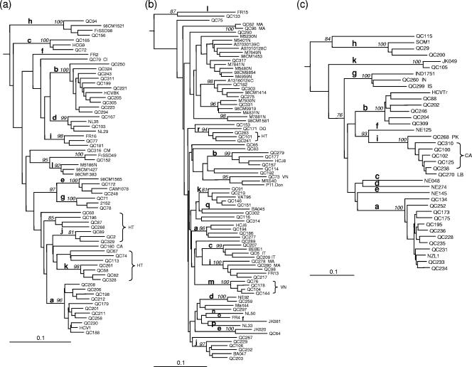 FIG. 1.