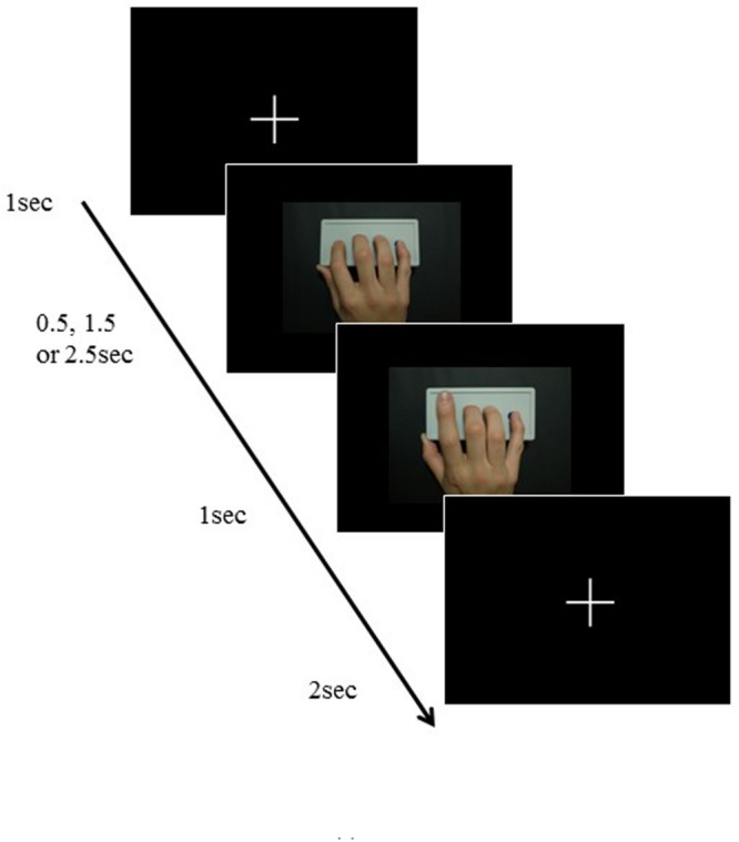 FIGURE 3