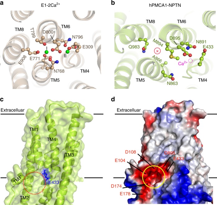 Fig. 4